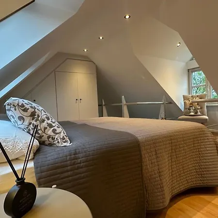 Design Penthouse With Terrace شقة دوسلدورف
