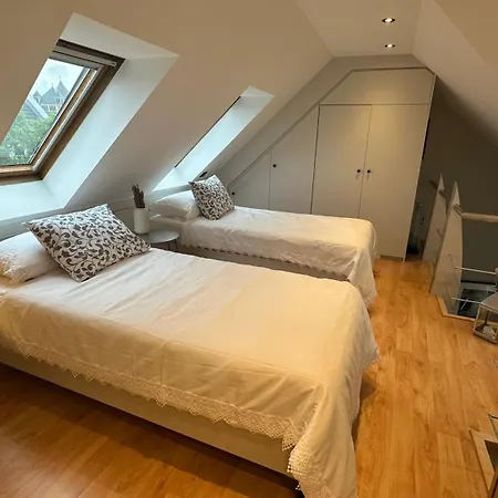 Design Penthouse With Terrace شقة دوسلدورف